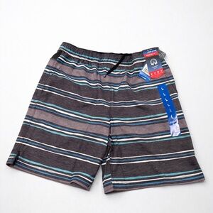 Speedo Tech Volley Swim Shorts Men’s Large Striped Comfort Liner Beach Trunks